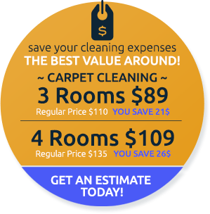 Sample Flyer Carpet Cleaning Hacks Deep Carpet Cleaning Cleaning Flyers